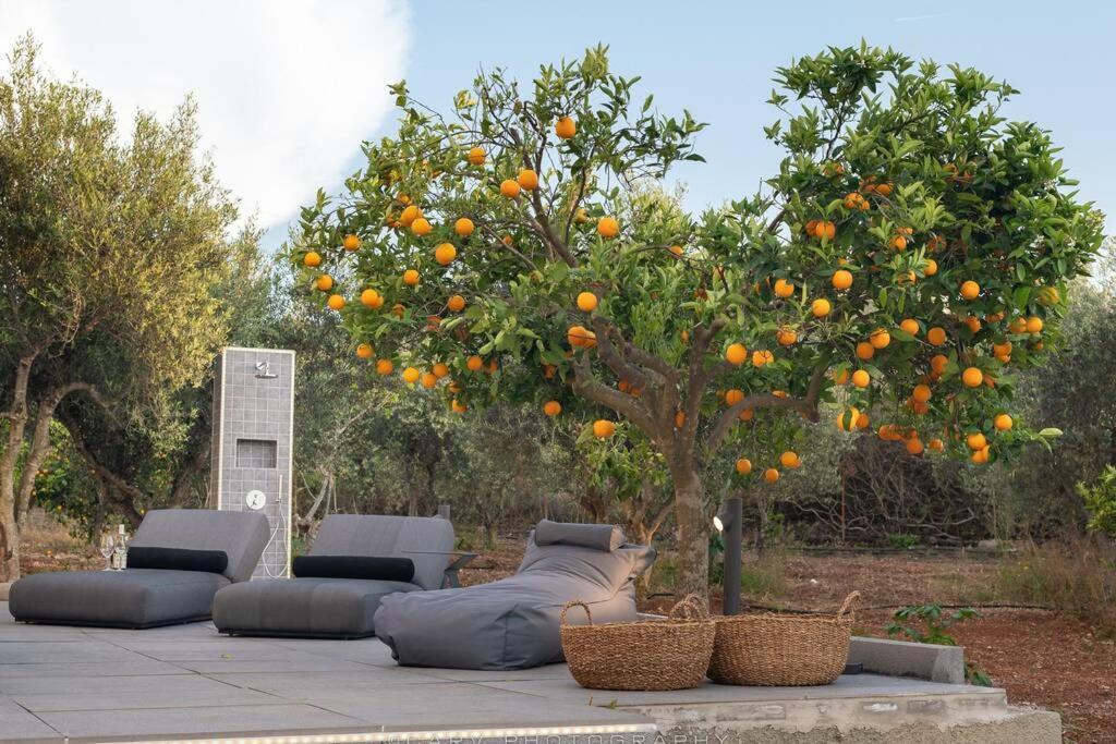 הוילה פורטו הלי Orange Tree מראה חיצוני תמונה